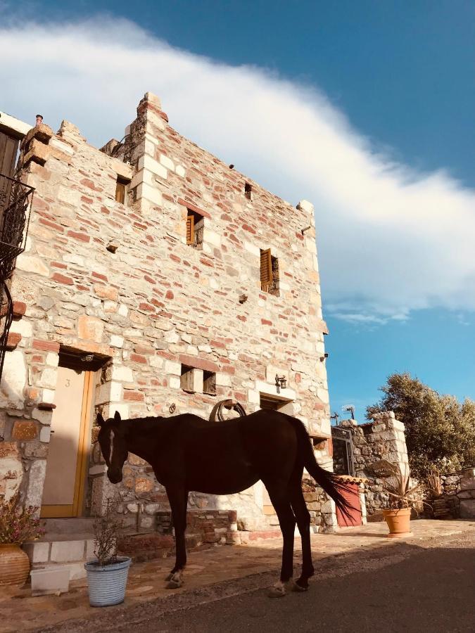 Castle Rizaraki Hotel Kokkala Bagian luar foto